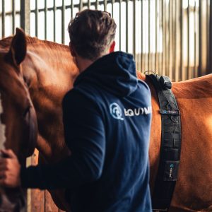 Equimo Smart Girth