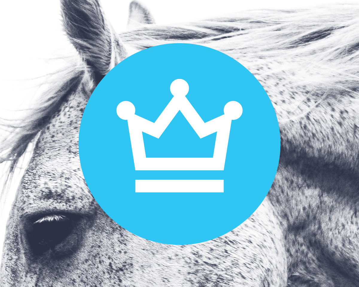 Premium Subscription (1 year)